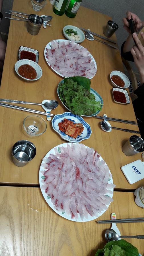 Blue Island Guesthouse Seogwipo Exterior photo